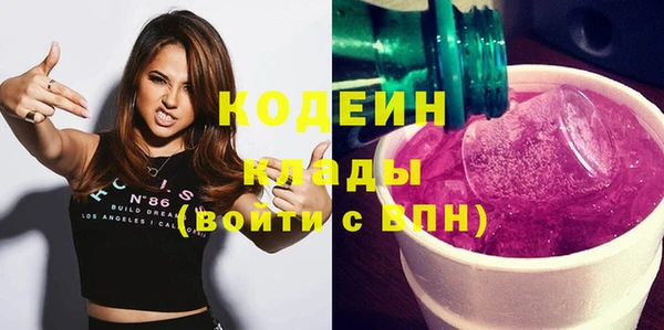 эйфоретик Няндома