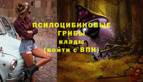 альфа пвп Армянск