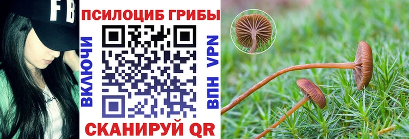 Псилоцибиновые грибы прущие грибы  как найти закладки  Новая Ляля 